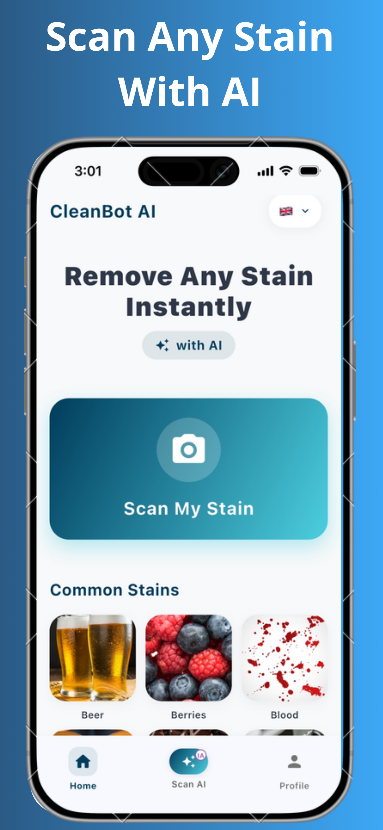 Remove Any Stain with AI